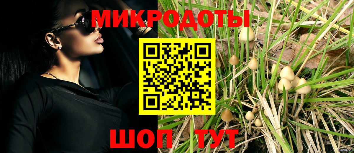 Галлюциногенные грибы Cubensis Гагарин
