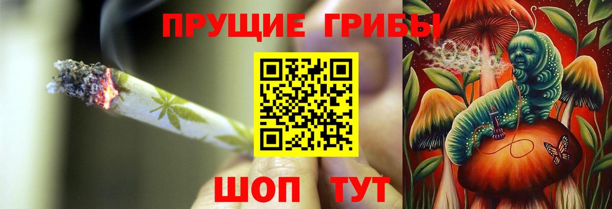 Гагарин  Галлюциногенные грибы MAGIC MUSHROOMS  Вход с VPN  Галлюциногенные грибы Cubensis 